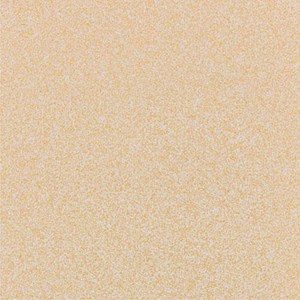 Gạch ốp lát Granite 600x600 Trung Đô Muối Tiêu MM6648