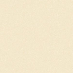 Gạch lát Porcelain 600x600 Trung Đô MF6.1242