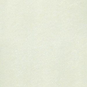 Gạch lát nền 600x600 Taicera P67703N