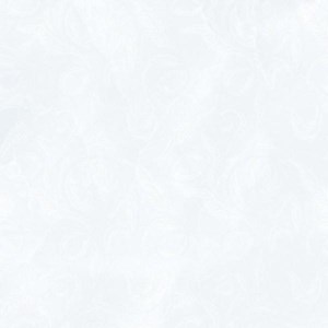 Gạch Porcelain 600x600 Prime 03.600600.09047