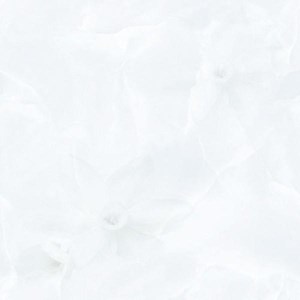 Gạch lát men bóng 600x600 Prime 03.600600.09048