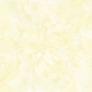 Gạch lát sàn 600x600 Prime 03.600600.12025