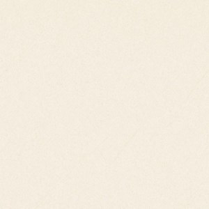 Gạch lát nền men khô 600x600 Prime 03.600600.09952