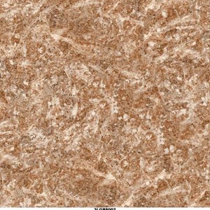 Gạch lát sàn 800x800 Toko 3LGP-8002