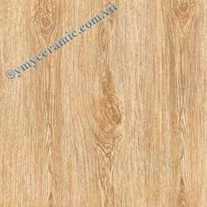 Gạch men 600x600 Ý Mỹ C609KTS