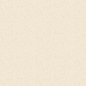 Gạch men sứ 600x600 Prime 03.600600.12008