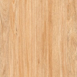 Gạch men sứ 600x600 Prime 03.600600.08206