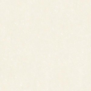 Gạch men sứ 600x600 Prime 03.600600.09663