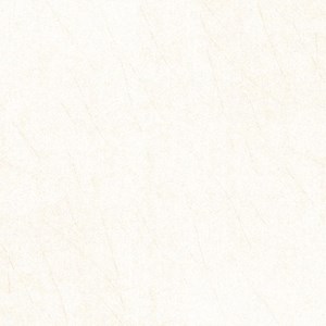 Gạch lát nền Trường Thịnh 600x600mm TT66915