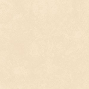 Gạch granite kỹ thuật số Viglacera 600x600 Eco S620