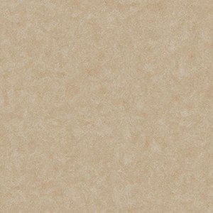 Gạch Viglacera xương bán sứ VG 6002