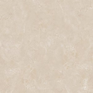 Gạch xương bán sứ 600x600 Viglacaera B 6005